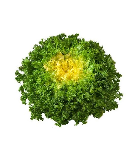 La frisée